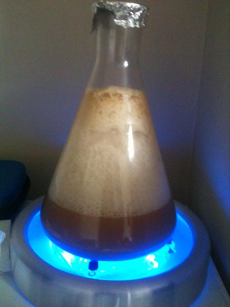 Stir Plate wiring - Now Complete - Home Brew Forum